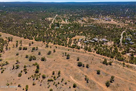 3371 Weese Run, Overgaard, AZ 85933 photo 9