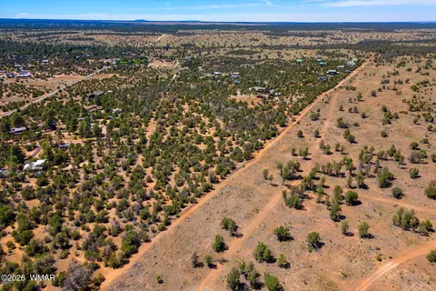 3371 Weese Run, Overgaard, AZ 85933 photo 4
