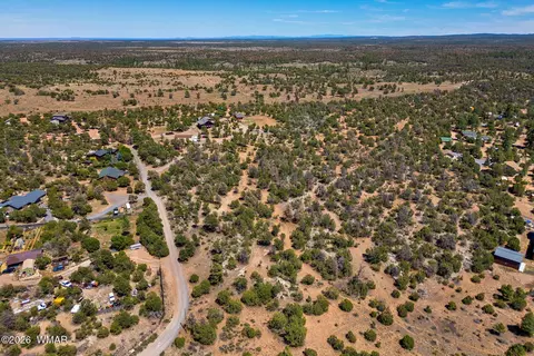 3371 Weese Run, Overgaard, AZ 85933 photo 3