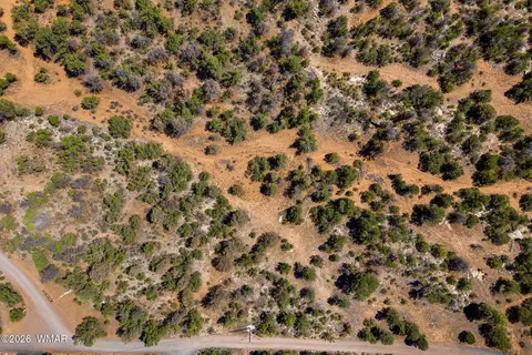 3371 Weese Run, Overgaard, AZ 85933 photo 16