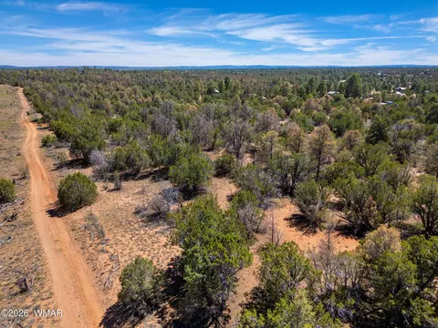 3371 Weese Run, Overgaard, AZ 85933 photo 22