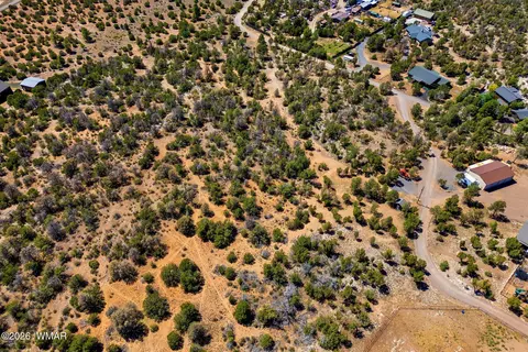 3371 Weese Run, Overgaard, AZ 85933 photo 13