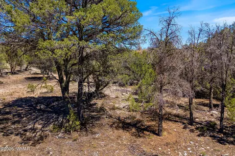 3371 Weese Run, Overgaard, AZ 85933 photo 19