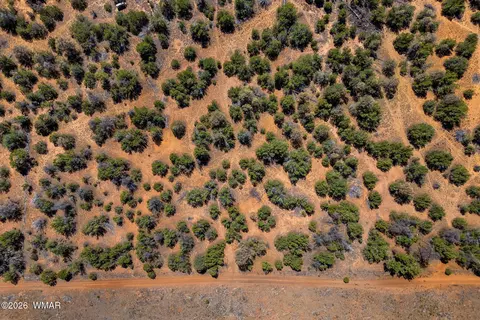 3371 Weese Run, Overgaard, AZ 85933 photo 11