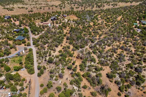 3371 Weese Run, Overgaard, AZ 85933 photo 7
