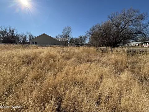 464 S West St, Springerville, AZ 85938 photo 5