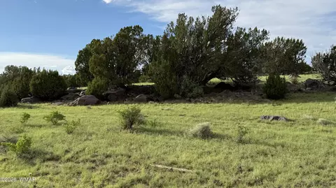 78 8006, Concho, AZ 85924 photo 10