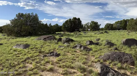 78 8006, Concho, AZ 85924 photo 14