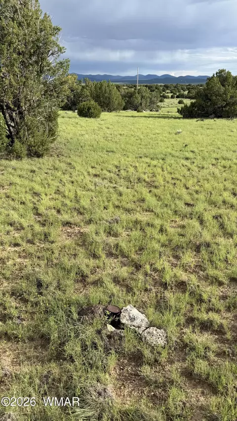78 8006, Concho, AZ 85924 photo 11