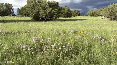 78 8006, Concho, AZ 85924 photo 3
