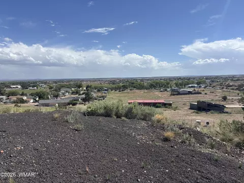 Other - 1099 S Kellis Blvd, Snowflake, AZ 85937 photo 30 of 30
