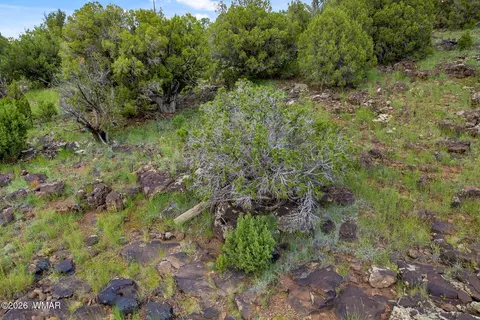 8281 8283 Ridge Dr, Show Low, AZ 85901