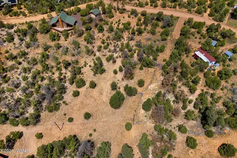 3620 Zane Grey Trl, Overgaard, AZ 85933 photo 12