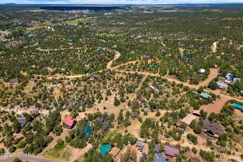 3620 Zane Grey Trl, Overgaard, AZ 85933 photo 11
