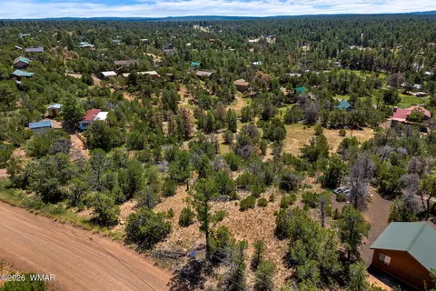 3620 Zane Grey Trl, Overgaard, AZ 85933 photo 16