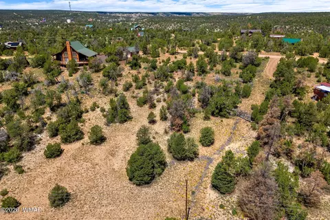 3620 Zane Grey Trl, Overgaard, AZ 85933 photo 15