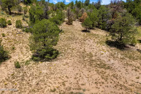 3620 Zane Grey Trl, Overgaard, AZ 85933 photo 3