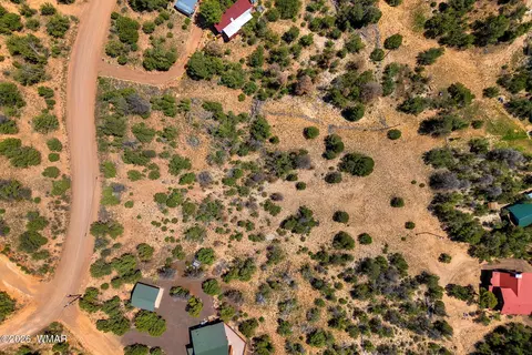 3620 Zane Grey Trl, Overgaard, AZ 85933 photo 9