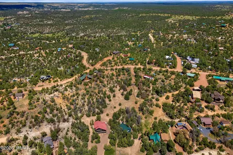 3620 Zane Grey Trl, Overgaard, AZ 85933 photo 10