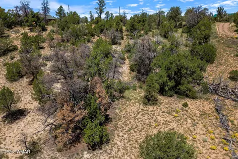 3620 Zane Grey Trl, Overgaard, AZ 85933 photo 4