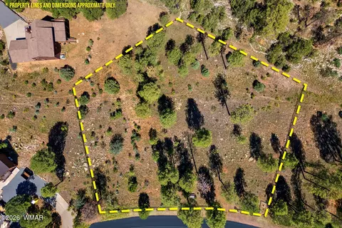 2294 Constellation Ln, Overgaard, AZ 85933 photo 2