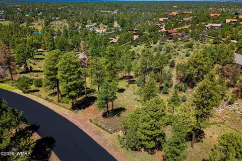 2294 Constellation Ln, Overgaard, AZ 85933 photo 14