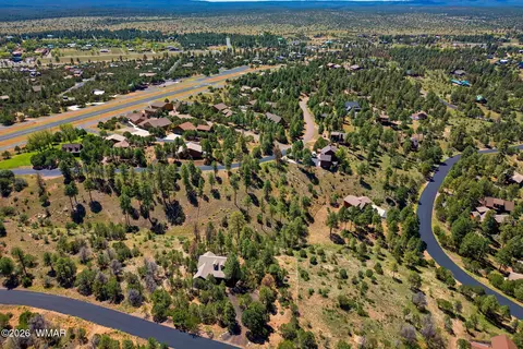 2294 Constellation Ln, Overgaard, AZ 85933 photo 9