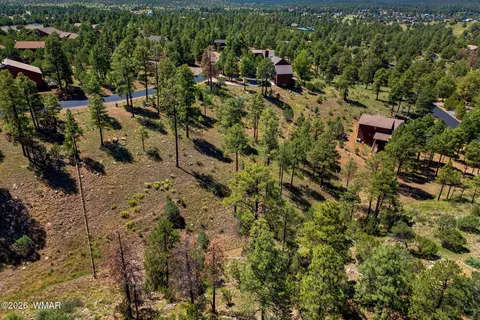 2294 Constellation Ln, Overgaard, AZ 85933 photo 13
