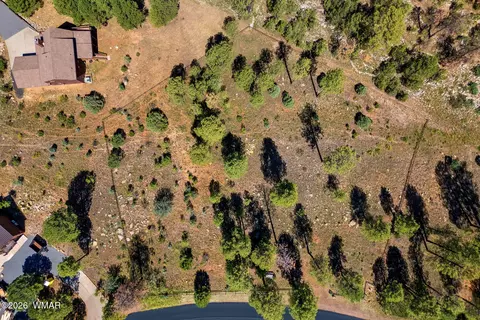 2294 Constellation Ln, Overgaard, AZ 85933 photo 3