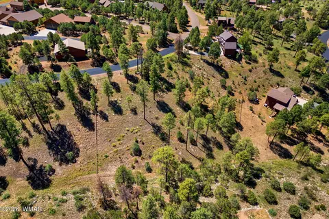 2294 Constellation Ln, Overgaard, AZ 85933 photo 10