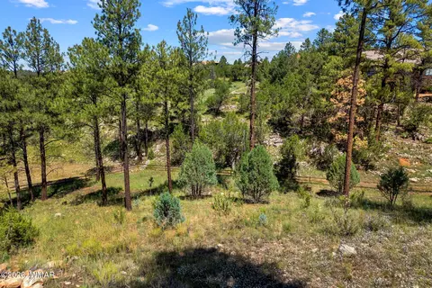 2294 Constellation Ln, Overgaard, AZ 85933 photo 17