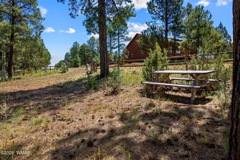 2294 Constellation Ln, Overgaard, AZ 85933 photo 19