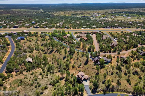 2294 Constellation Ln, Overgaard, AZ 85933 photo 8