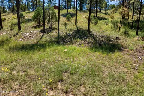 2294 Constellation Ln, Overgaard, AZ 85933 photo 18