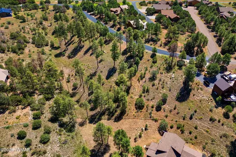 2294 Constellation Ln, Overgaard, AZ 85933 photo 11
