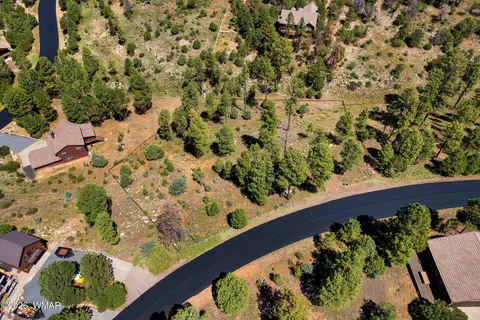 2294 Constellation Ln, Overgaard, AZ 85933 photo 6
