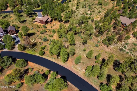 2294 Constellation Ln, Overgaard, AZ 85933 photo 7