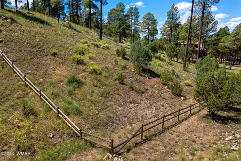2294 Constellation Ln, Overgaard, AZ 85933 photo 16