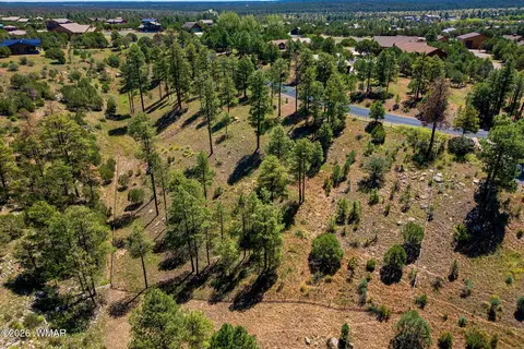 2294 Constellation Ln, Overgaard, AZ 85933 photo 12