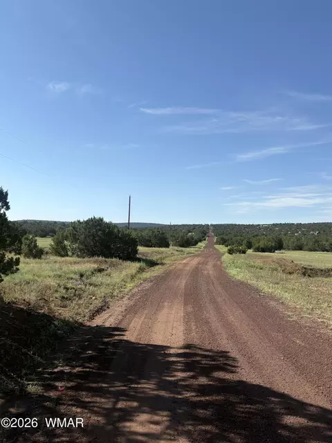 80 County Rd 8238, Concho, AZ 85924 photo 4