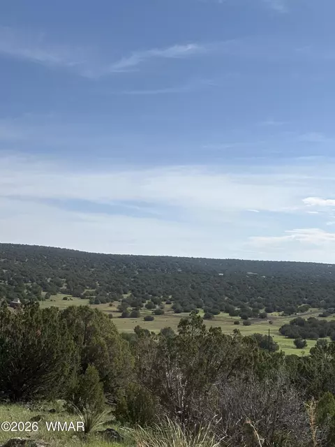 80 County Rd 8238, Concho, AZ 85924 photo 6