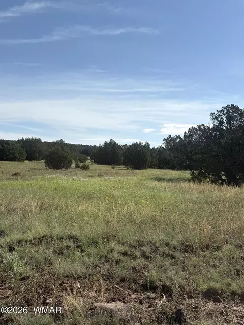80 County Rd 8238, Concho, AZ 85924 photo 3