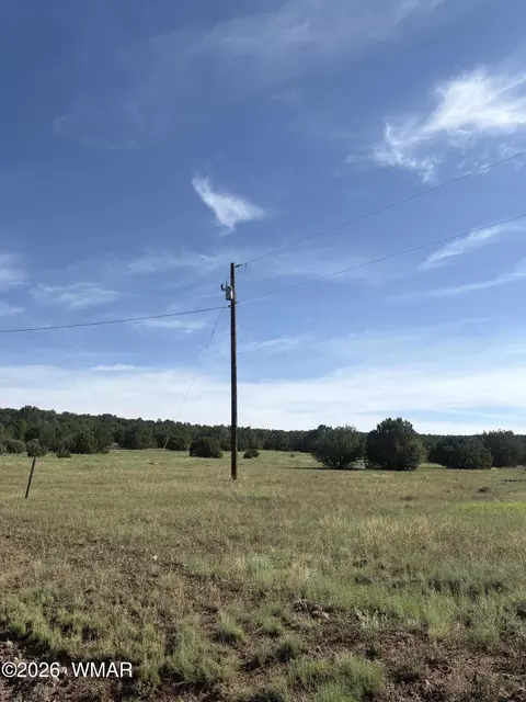 80 County Rd, Concho, AZ 85924 photo 6