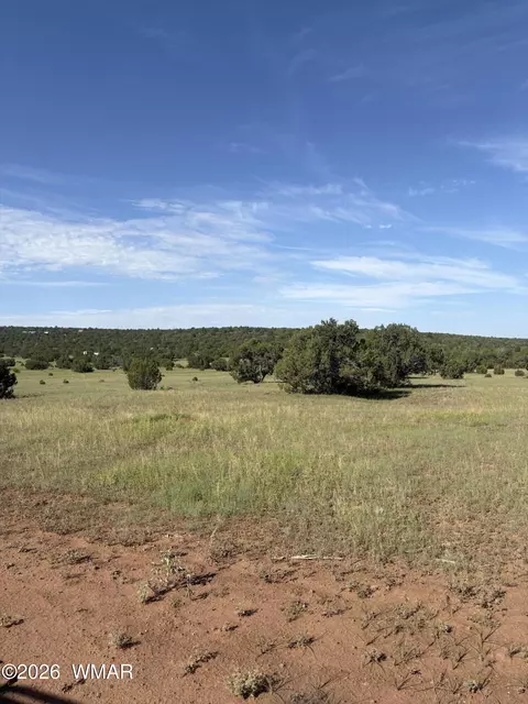 80 County Rd, Concho, AZ 85924 photo 2