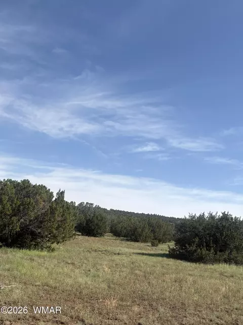 80 County Rd, Concho, AZ 85924 photo 3