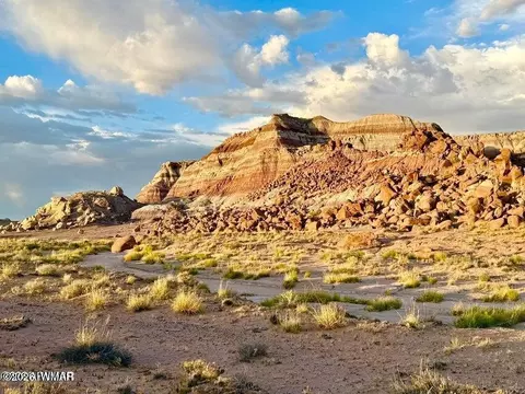 8983 Down Under 3882 Acres Rd, Holbrook, AZ 86025
