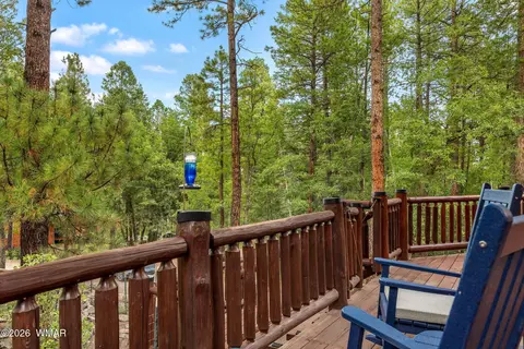 Exterior - 12 County Road 2070, Alpine, AZ 85920 photo 4 of 16