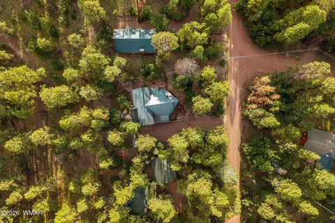 View/Area - 12 County Road 2070, Alpine, AZ 85920 photo 1 of 4