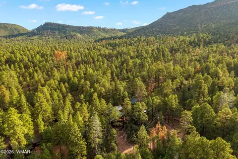 View/Area - 12 County Road 2070, Alpine, AZ 85920 photo 3 of 4