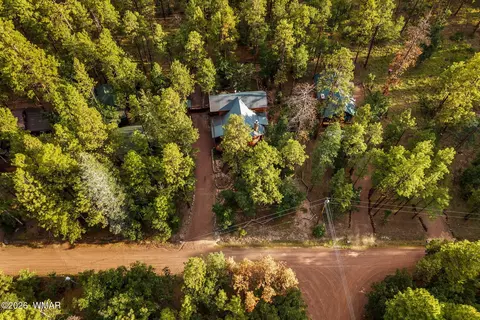 View/Area - 12 County Road 2070, Alpine, AZ 85920 photo 2 of 4